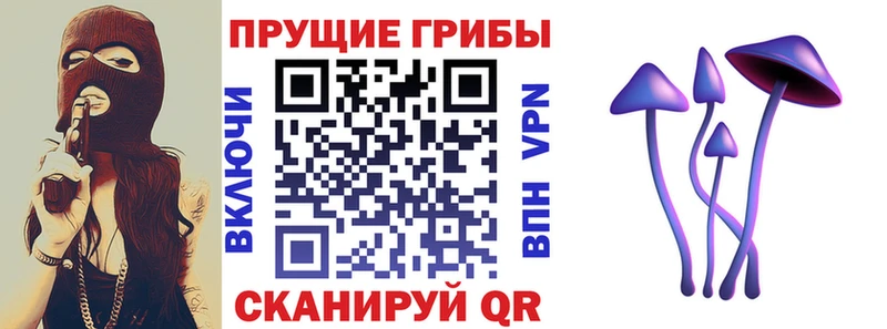 Псилоцибиновые грибы Psilocybe  наркотики  Азов 