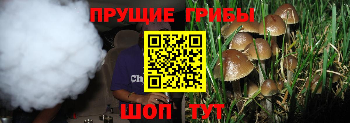 Псилоцибиновые грибы мухоморы  Вход с VPN  Галлюциногенные грибы мухоморы  Азов 